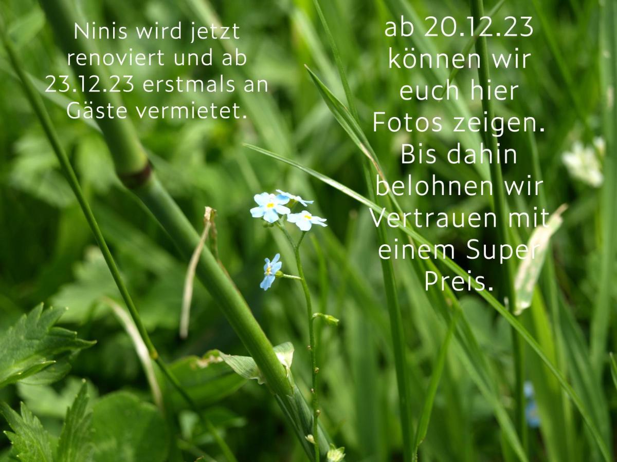 Ninis - Ferienhaus Im Bregenzerwald Egg Exteriör bild