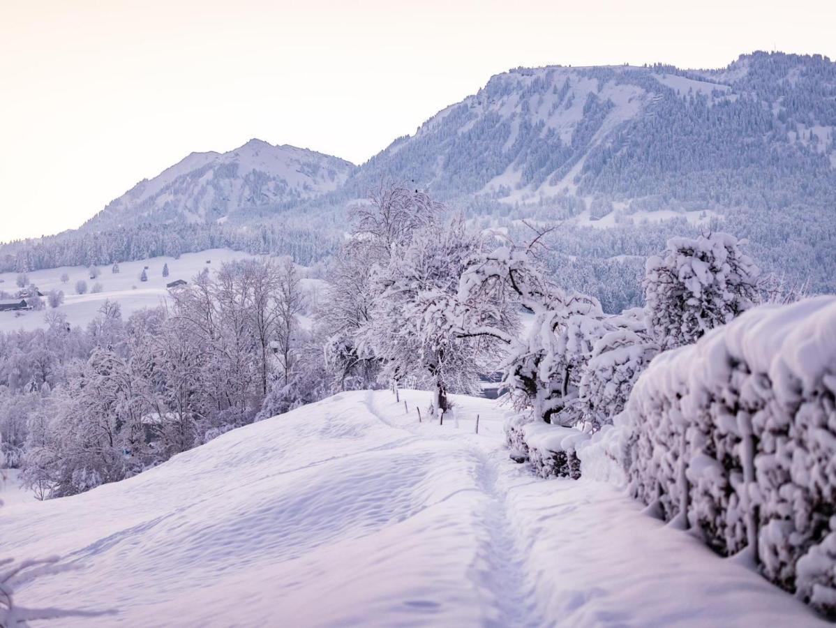 Ninis - Ferienhaus Im Bregenzerwald Egg Exteriör bild
